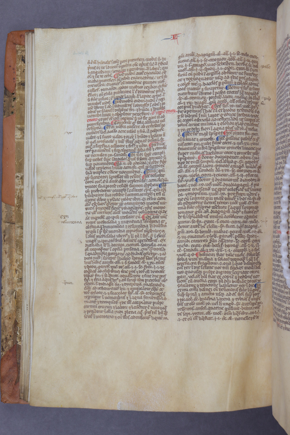 Folio 30 verso